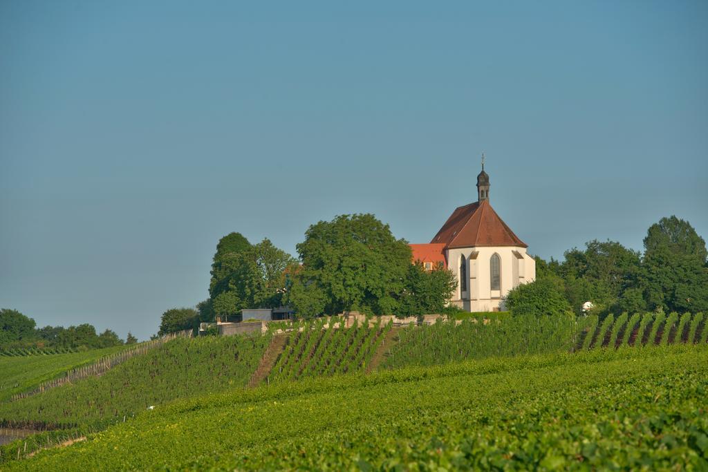 Vogelsburg Escherndorf