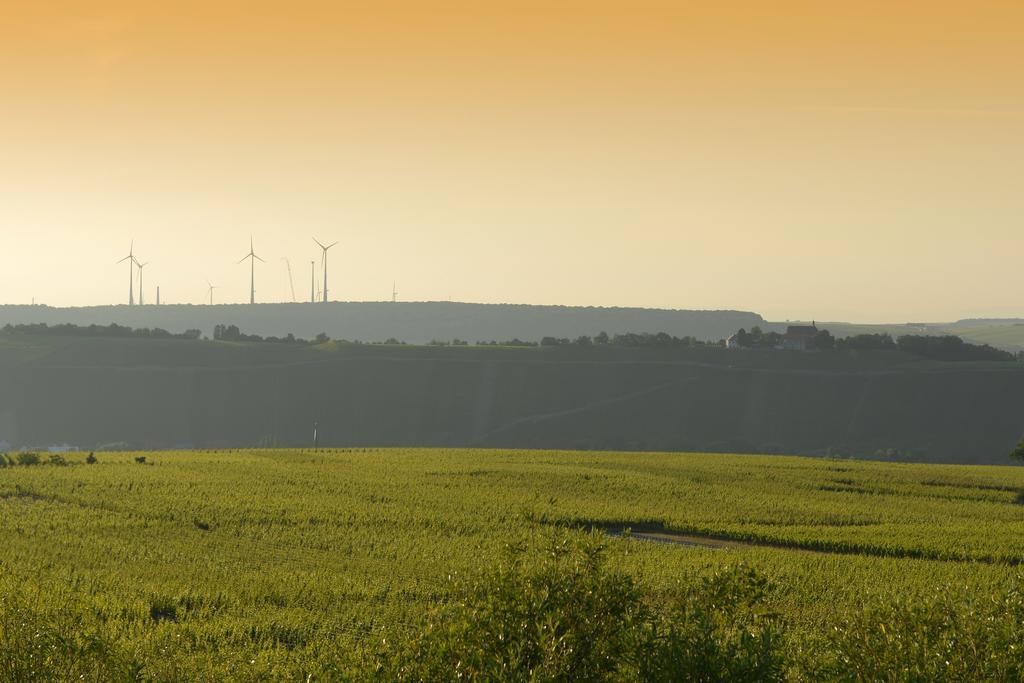 Vogelsburg Escherndorf