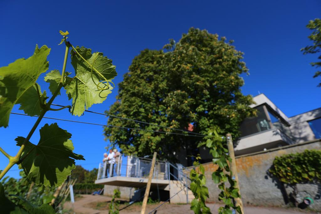 Vogelsburg Hotel