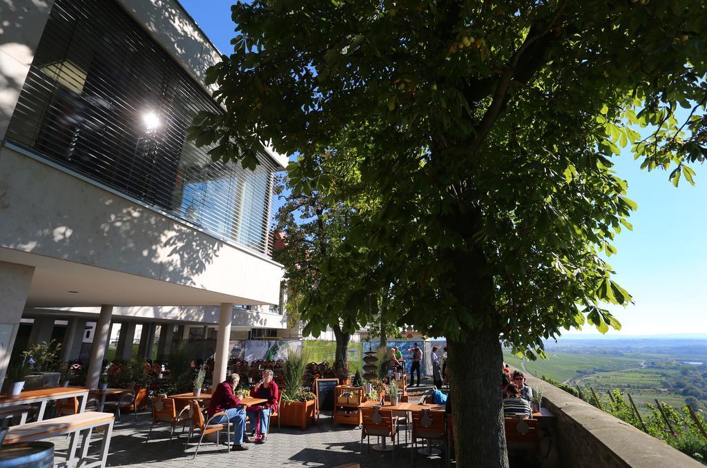 Vogelsburg Hotel 3*