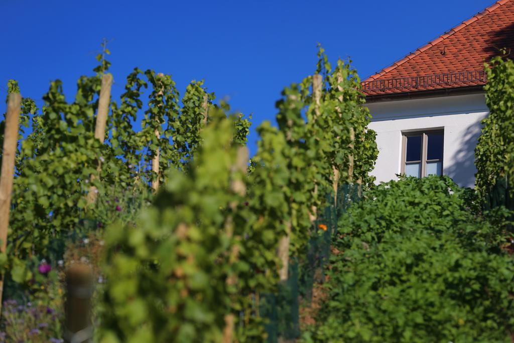 Vogelsburg Hotel