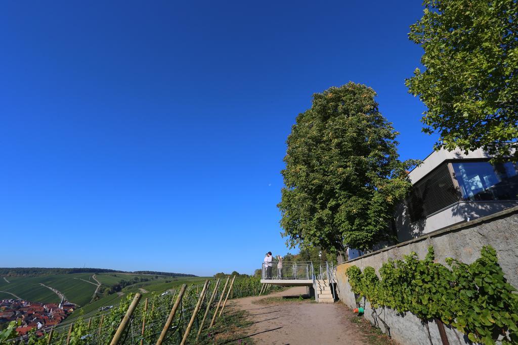 Vogelsburg Hotel Escherndorf